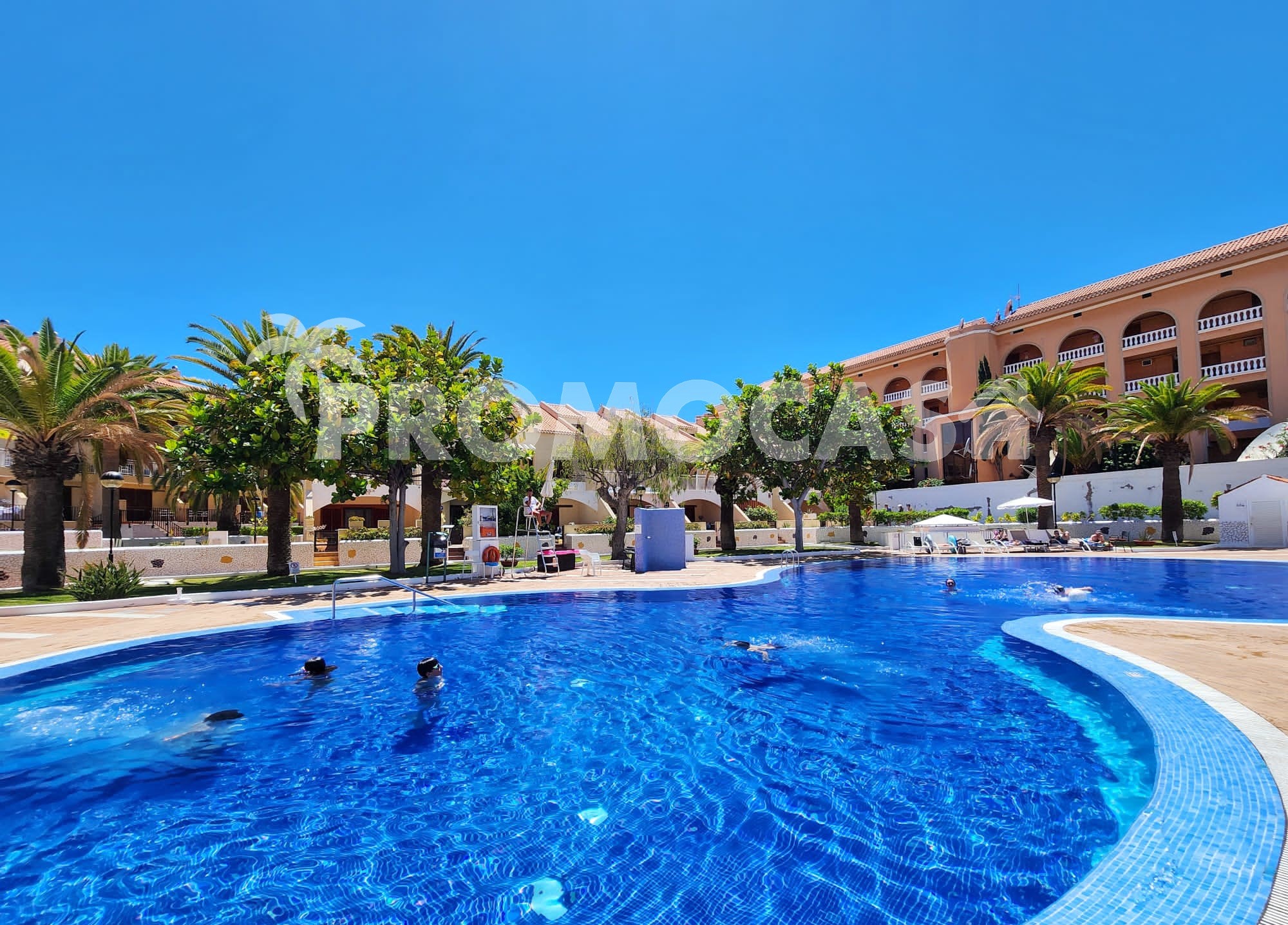 IMG-20240705-WA0011